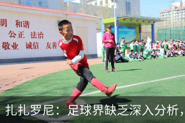 扎扎罗尼：足球界缺乏深入分析，更多是两军对峙